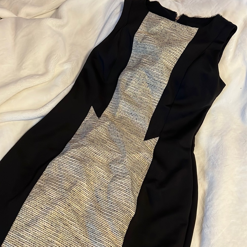 Woman’s Fitted Dress